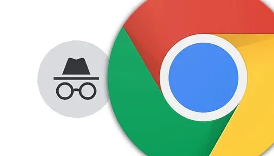 Как включить режим инкогнито в разных браузерах: все способы