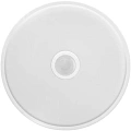 Умный потолочный светильник Yeelight LED Ceiling Lamp 250mm Mini White